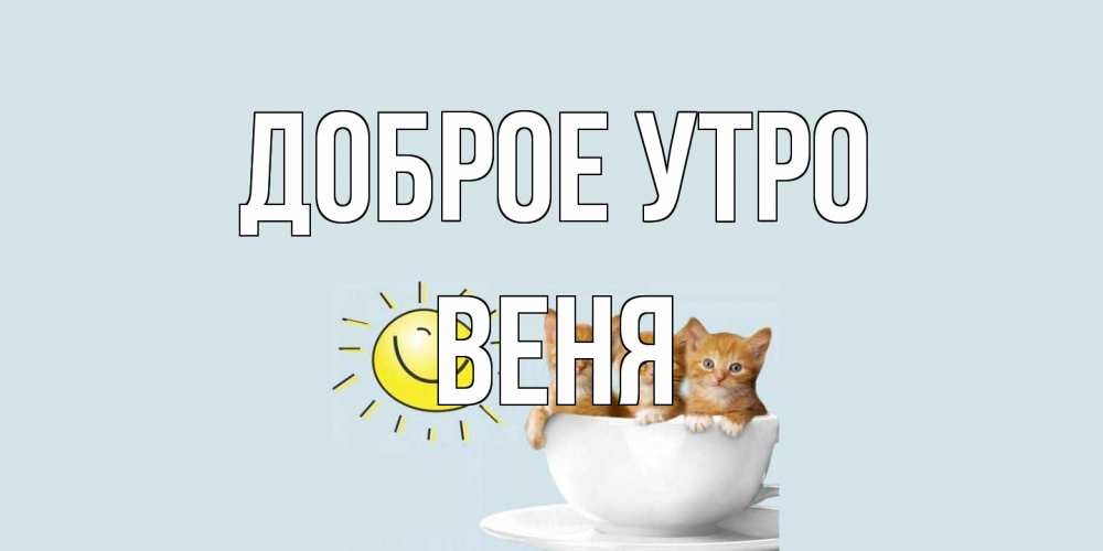 Открытка на каждый день с именем, Веня Доброе утро котята Прикольная открытка с пожеланием онлайн скачать бесплатно 