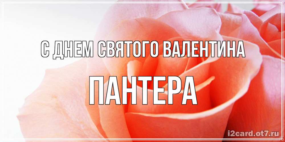 Открытка на каждый день с именем, Пантера С днем Святого Валентина открытка на день Святого Валентина с розовой розой Прикольная открытка с пожеланием онлайн скачать бесплатно 