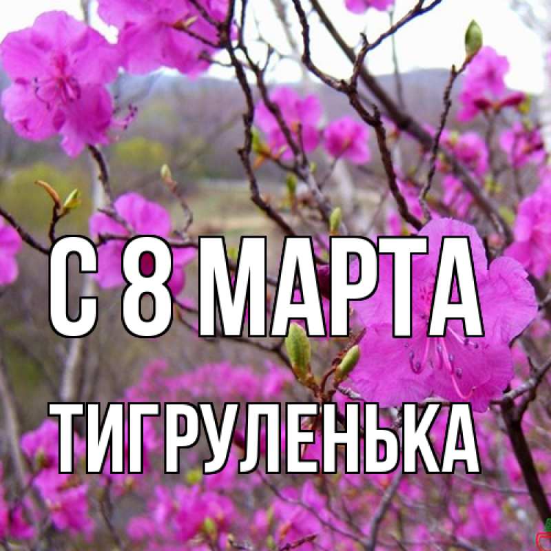Картинка C 8 МАРТА, Тигpуленька