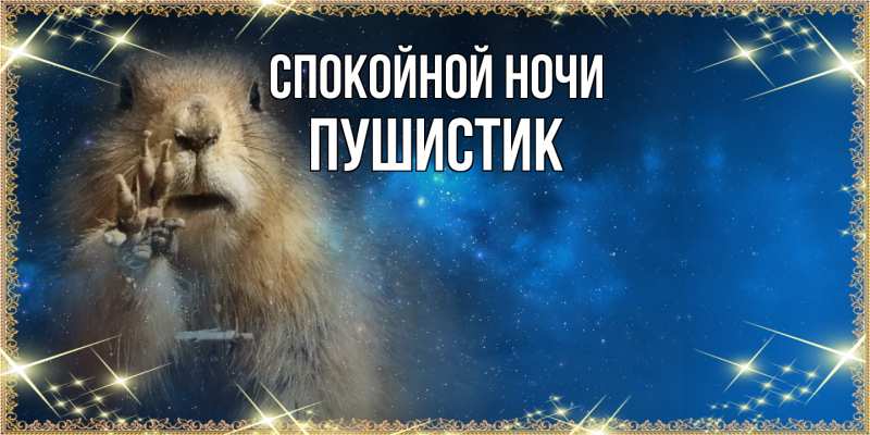 Картинка Спокойной ночи, Пушистик