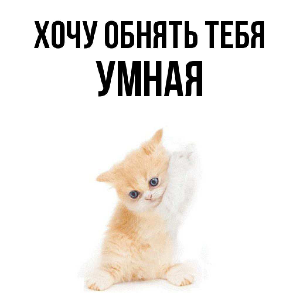 Открытка на каждый день с именем, Умная Хочу обнять тебя я хочу очень скорее обнимаешек Прикольная открытка с пожеланием онлайн скачать бесплатно 