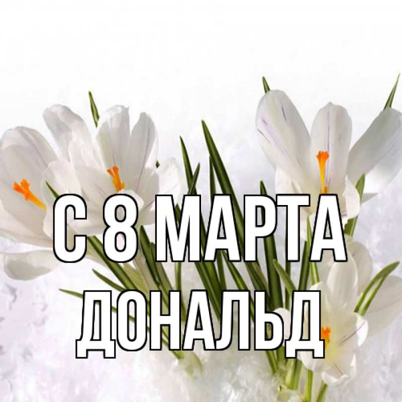 Картинка C 8 МАРТА, Дональд