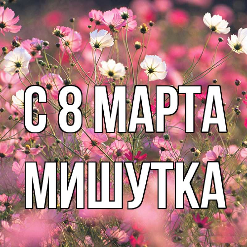 Картинка C 8 МАРТА, Мишутка