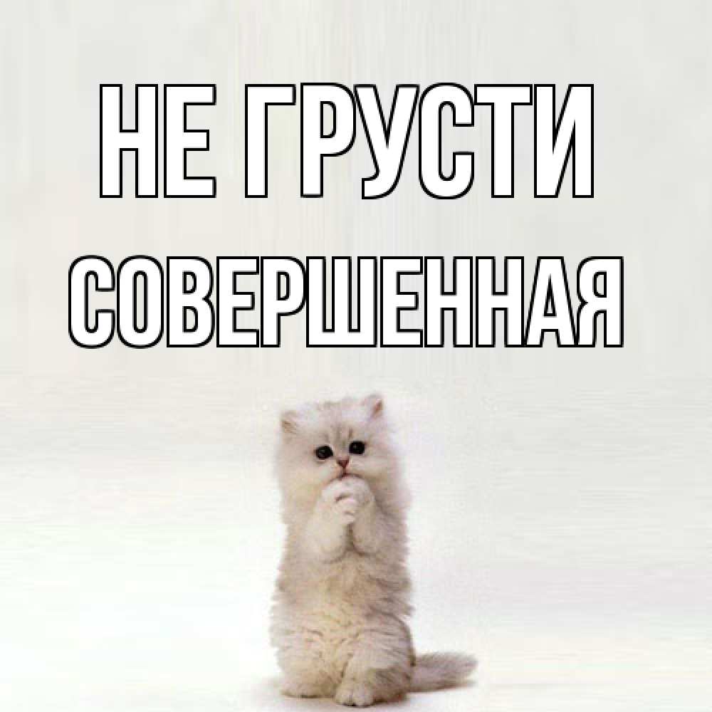 Открытка на каждый день с именем, Совершенная Не грусти грустный кот Прикольная открытка с пожеланием онлайн скачать бесплатно 