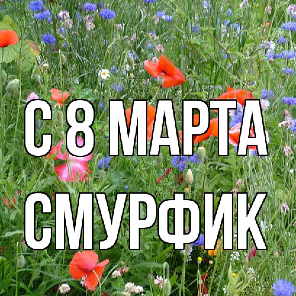 Открытка на каждый день с именем, Смурфик C 8 МАРТА международный женский день 4 Прикольная открытка с пожеланием онлайн скачать бесплатно 