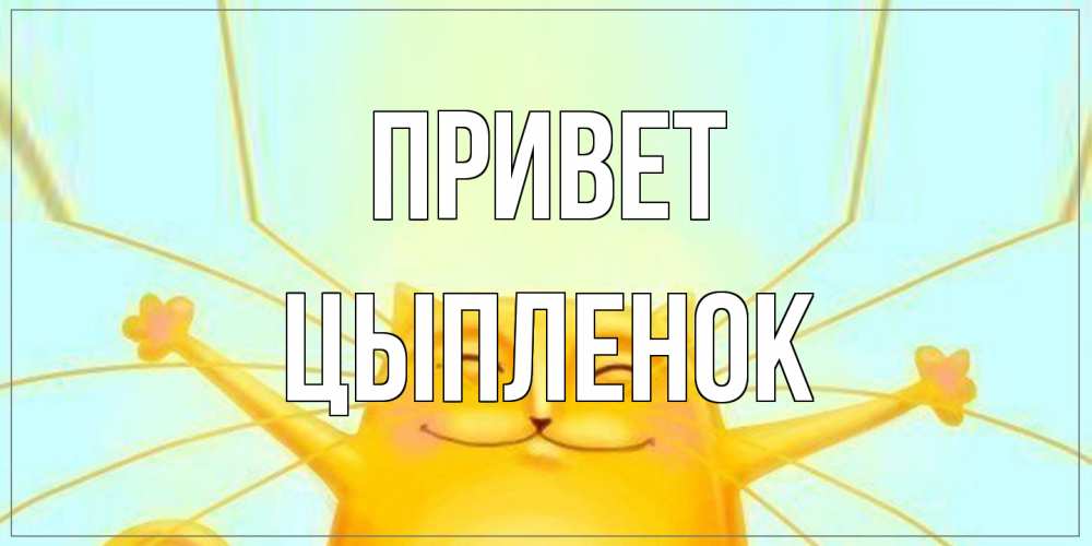 Открытка на каждый день с именем, Цыпленок Привет кот Прикольная открытка с пожеланием онлайн скачать бесплатно 