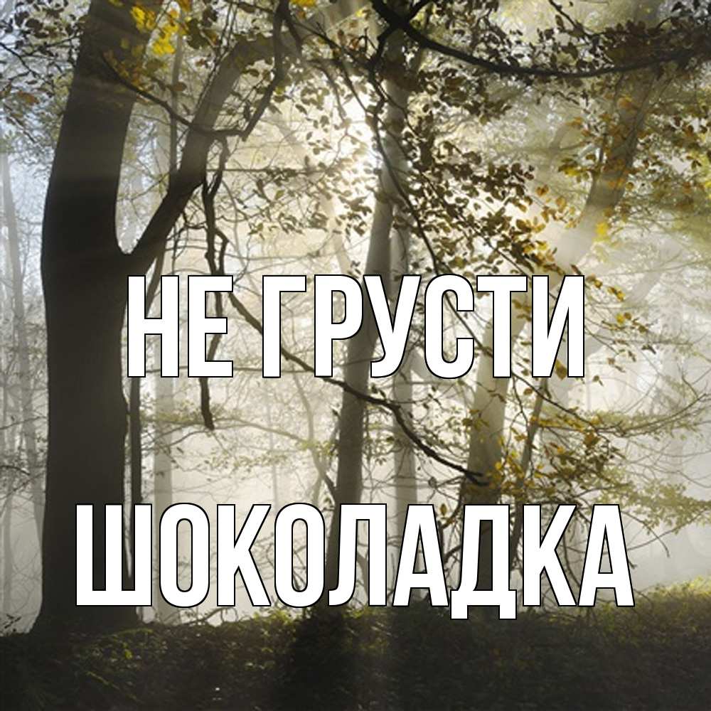 Открытка на каждый день с именем, Шоколадка Не грусти лес и свет Прикольная открытка с пожеланием онлайн скачать бесплатно 