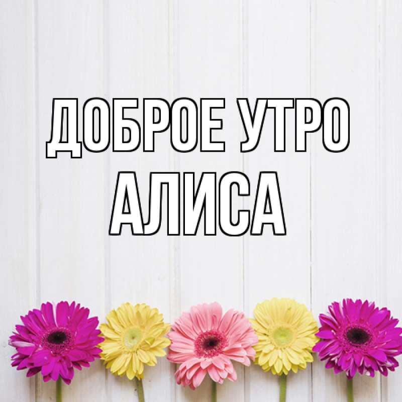 Картинка Доброе утро, Алиса