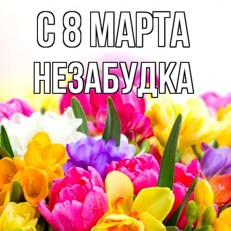 Картинка C 8 МАРТА, Незабудка