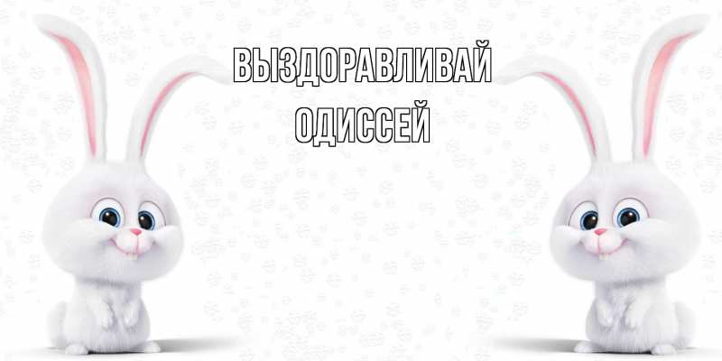 Картинка Выздоравливай, Одиссей