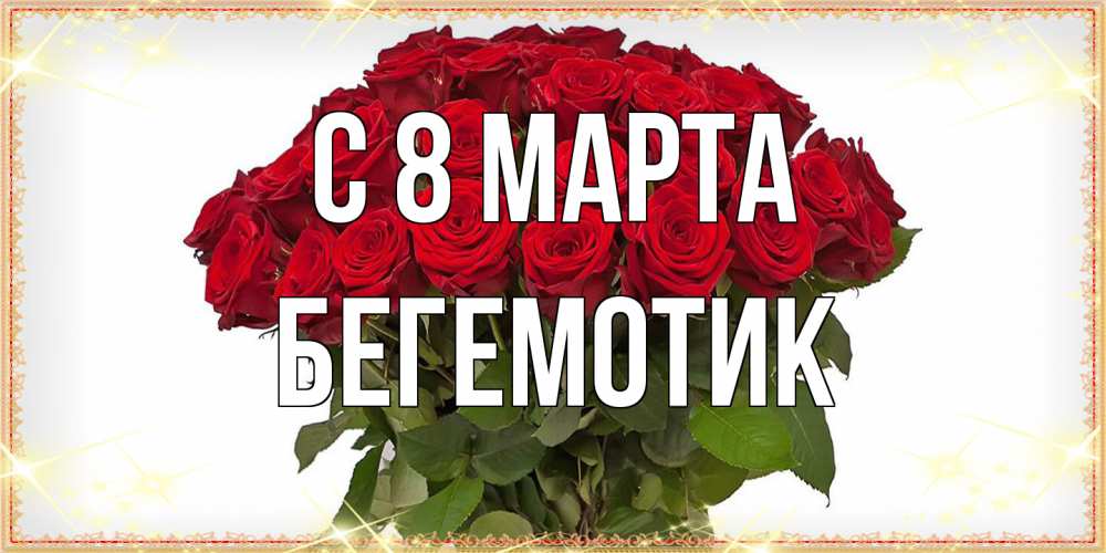 Открытка на каждый день с именем, Бегемотик C 8 МАРТА поздравляю с 8 марта Прикольная открытка с пожеланием онлайн скачать бесплатно 