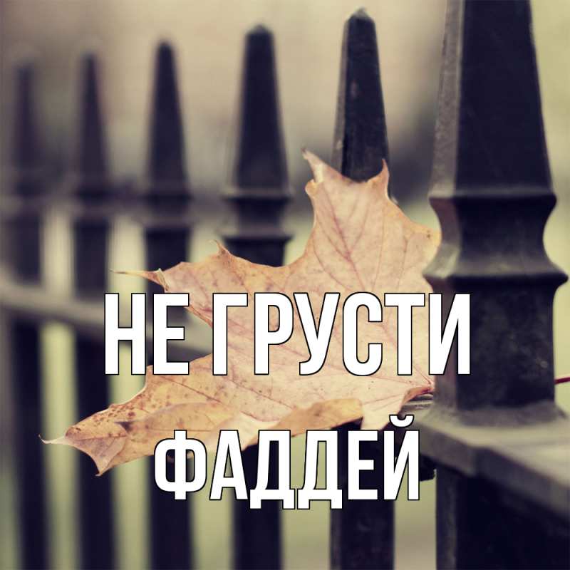 Картинка Не грусти, Фаддей