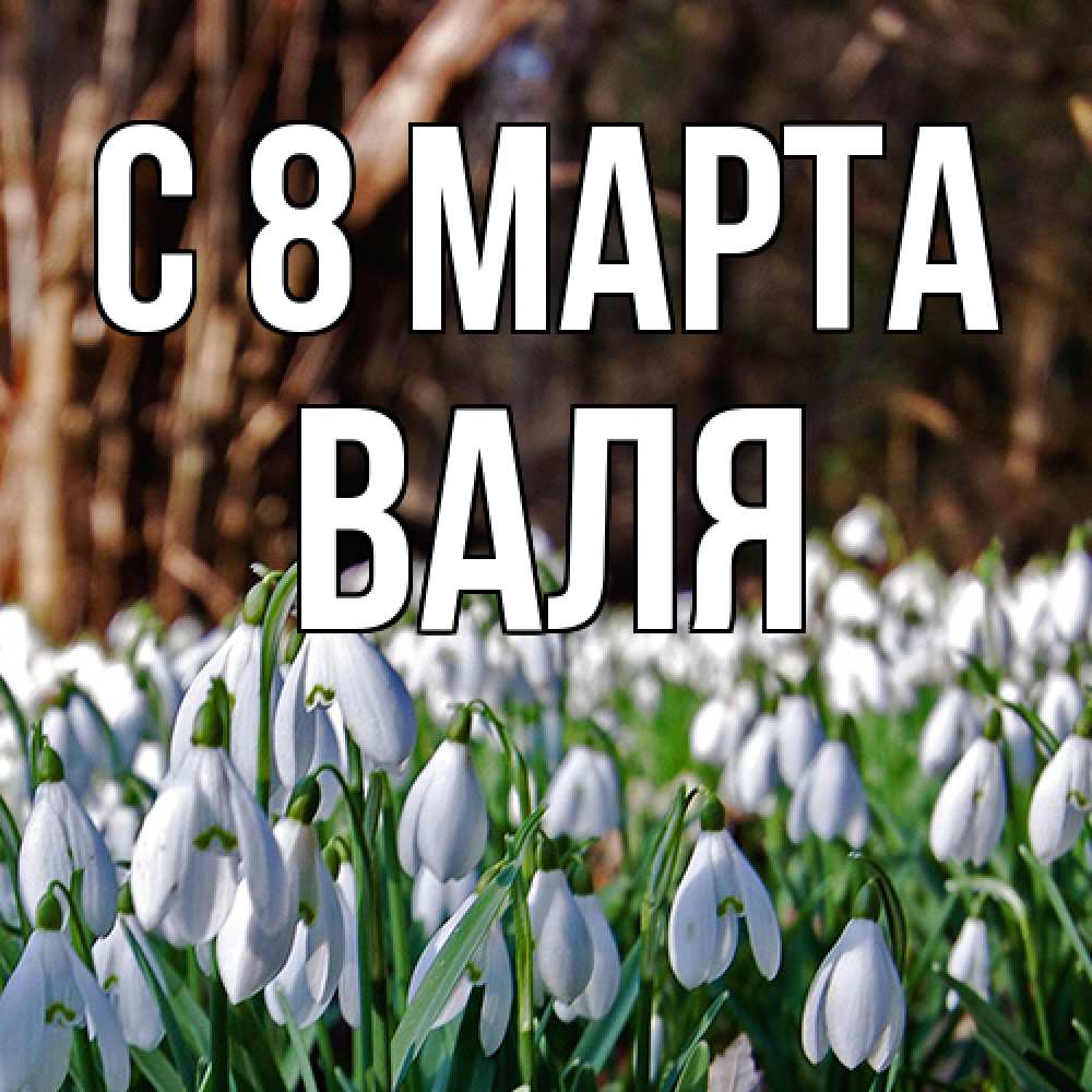 Открытка на каждый день с именем, Валя C 8 МАРТА с подснежниками 1 Прикольная открытка с пожеланием онлайн скачать бесплатно 