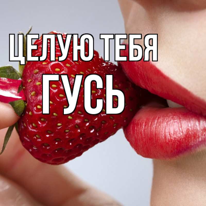 Картинка Целую тебя, Гусь