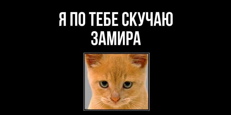 Картинка Я по тебе скучаю, Замира
