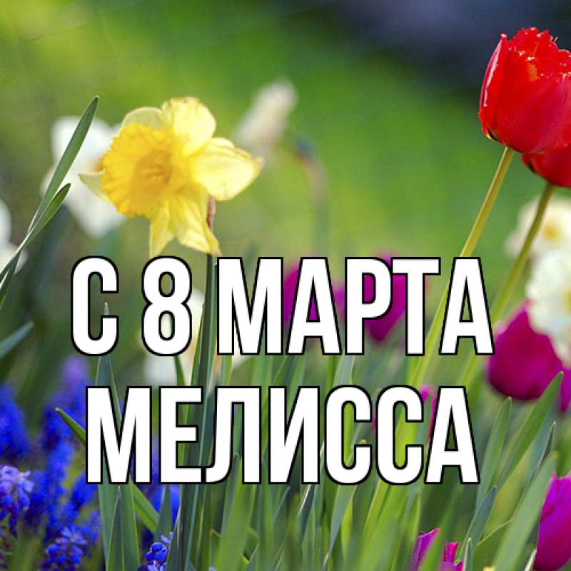 Картинка C 8 МАРТА, Мелисса