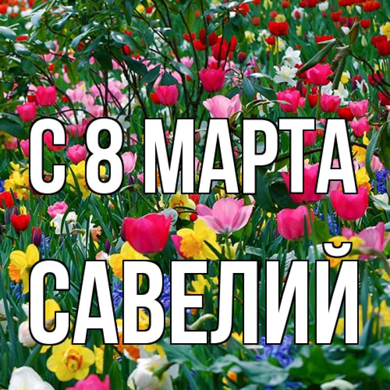Картинка C 8 МАРТА, Савелий