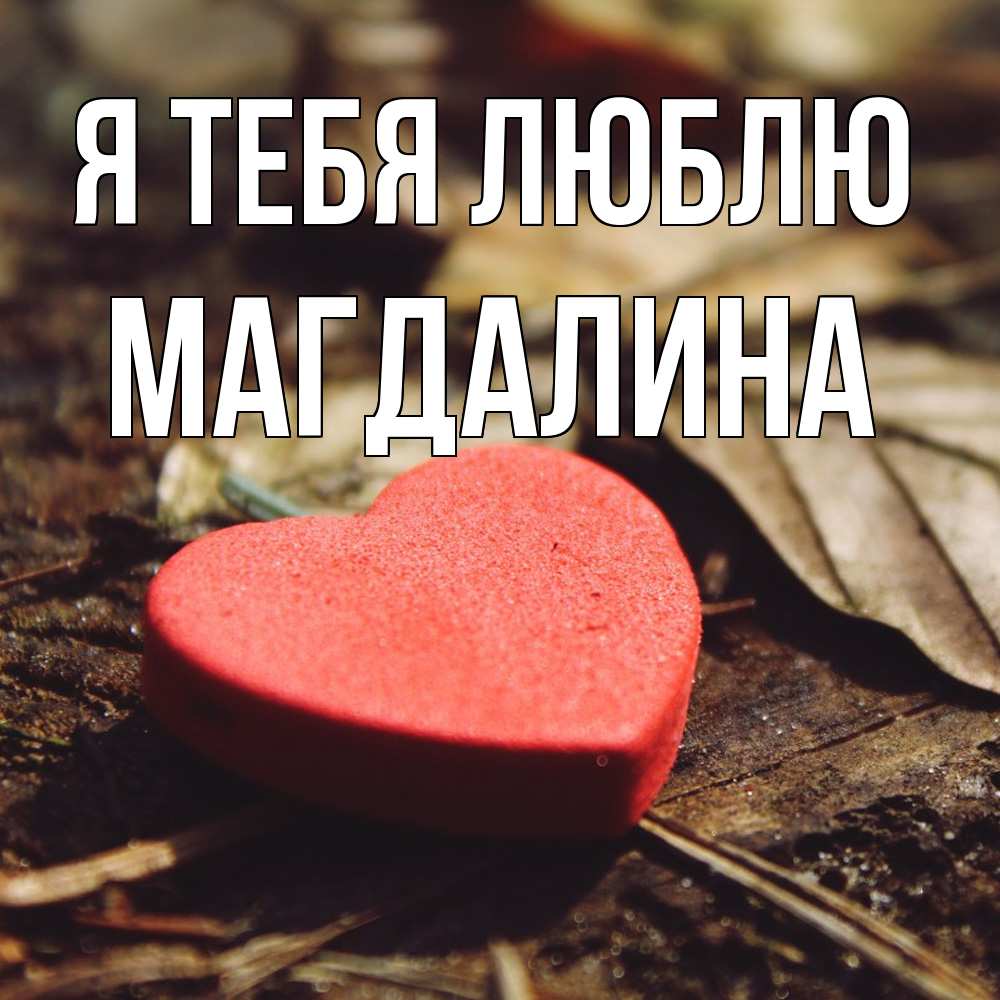 Открытка на каждый день с именем, Магдалина Я тебя люблю листья деревье 4 Прикольная открытка с пожеланием онлайн скачать бесплатно 