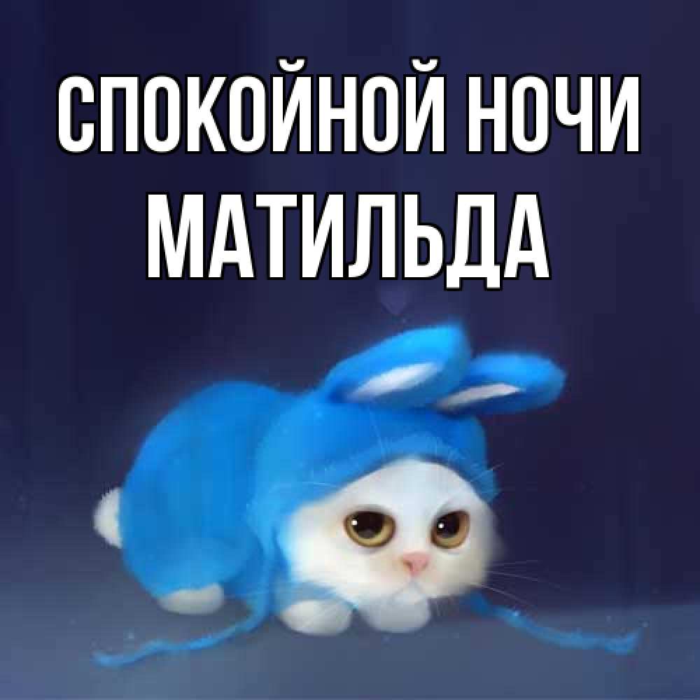 Открытка на каждый день с именем, Матильда Спокойной ночи кот в голубом костюме кролика с ушками Прикольная открытка с пожеланием онлайн скачать бесплатно 