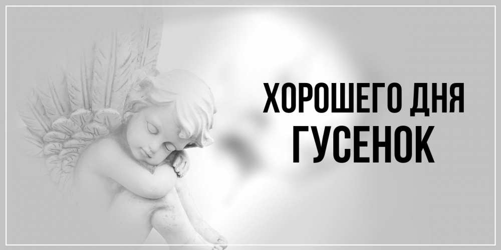 Открытка на каждый день с именем, гусенок Хорошего дня ангел Прикольная открытка с пожеланием онлайн скачать бесплатно 