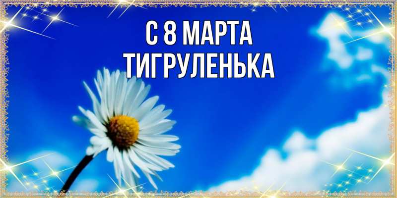 Картинка C 8 МАРТА, Тигpуленька