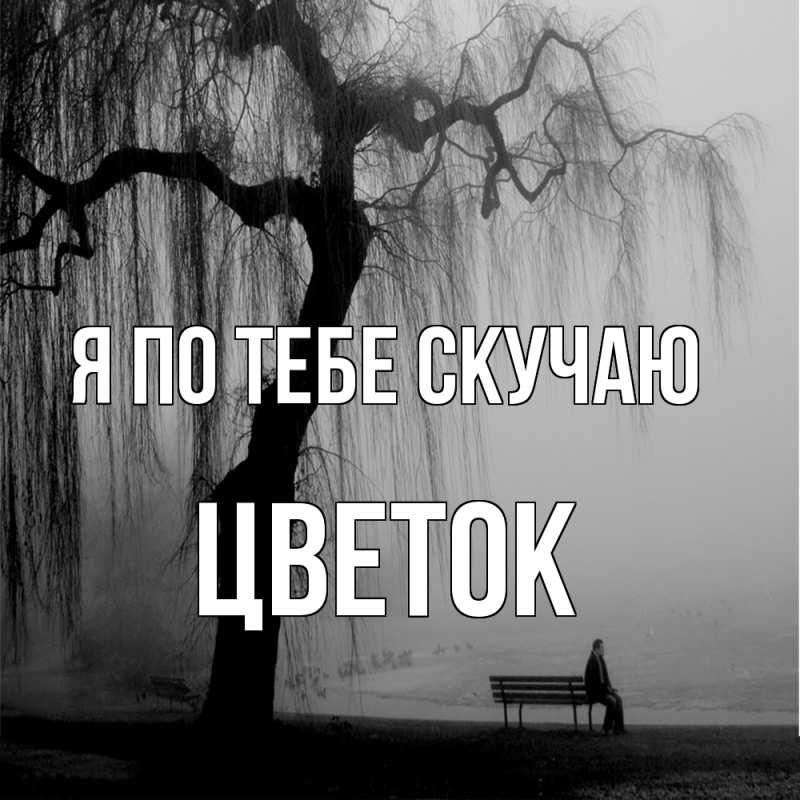 Картинка Я по тебе скучаю, Цветок