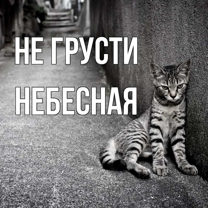 Картинка Не грусти, небесная