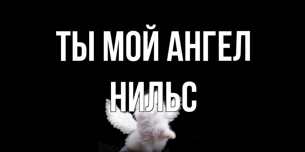 Открытка на каждый день с именем, Нильс Ты мой ангел Кот ангел Прикольная открытка с пожеланием онлайн скачать бесплатно 