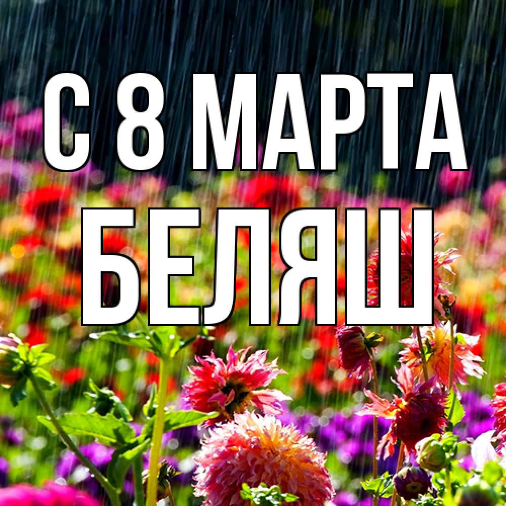 Открытка на каждый день с именем, Беляш C 8 МАРТА цветы под дождиком к международному женскому дню Прикольная открытка с пожеланием онлайн скачать бесплатно 