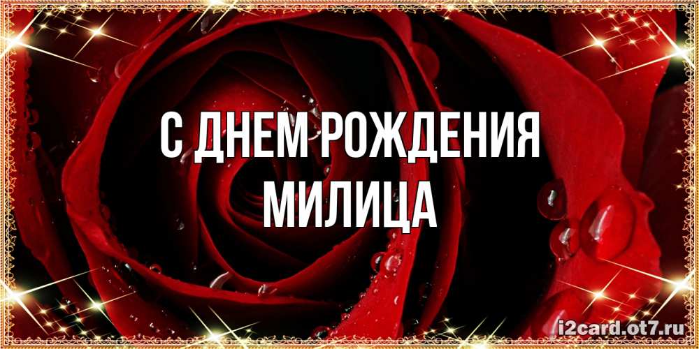 Открытка на каждый день с именем, Милица С днем рождения цветок в росе на день рождения Прикольная открытка с пожеланием онлайн скачать бесплатно 