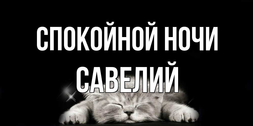 Открытка на каждый день с именем, Савелий Спокойной ночи спящий котик Прикольная открытка с пожеланием онлайн скачать бесплатно 