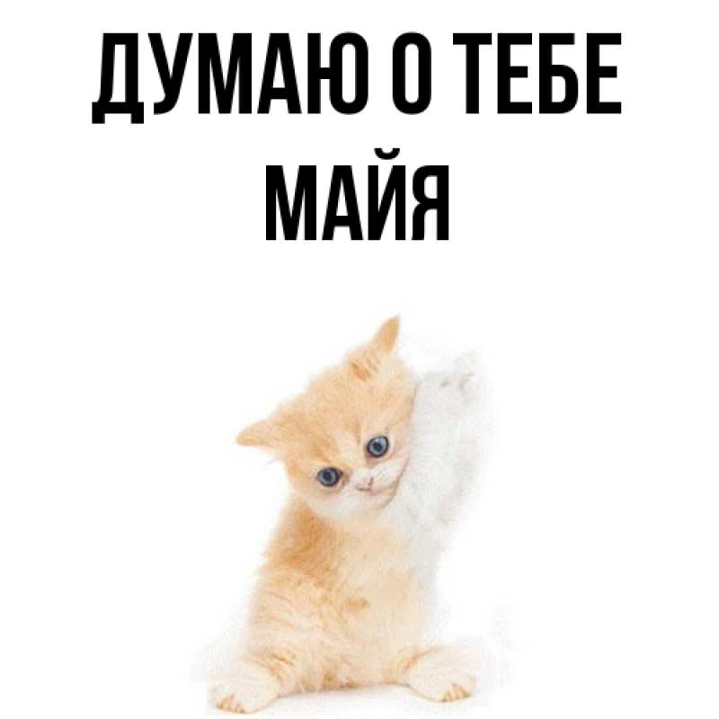 Картинка Думаю о тебе, Майя