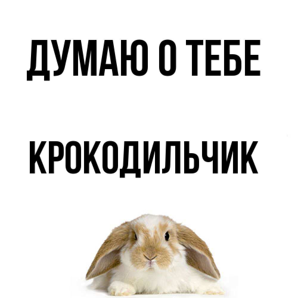 Открытка на каждый день с именем, Крокодильчик Думаю о тебе подписать своими руками онлайн Прикольная открытка с пожеланием онлайн скачать бесплатно 