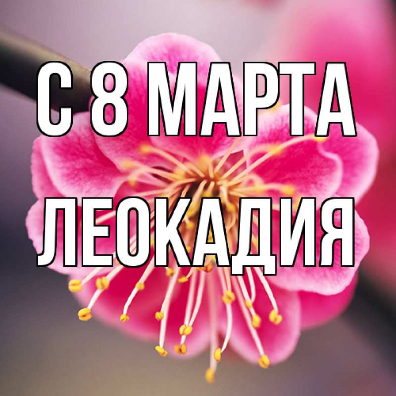 Картинка C 8 МАРТА, Леокадия