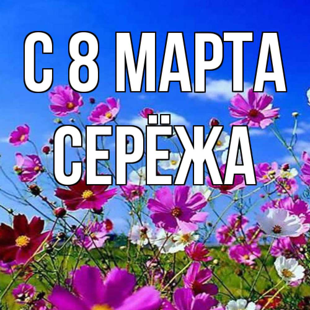Открытка на каждый день с именем, Серёжа C 8 МАРТА цветы Прикольная открытка с пожеланием онлайн скачать бесплатно 