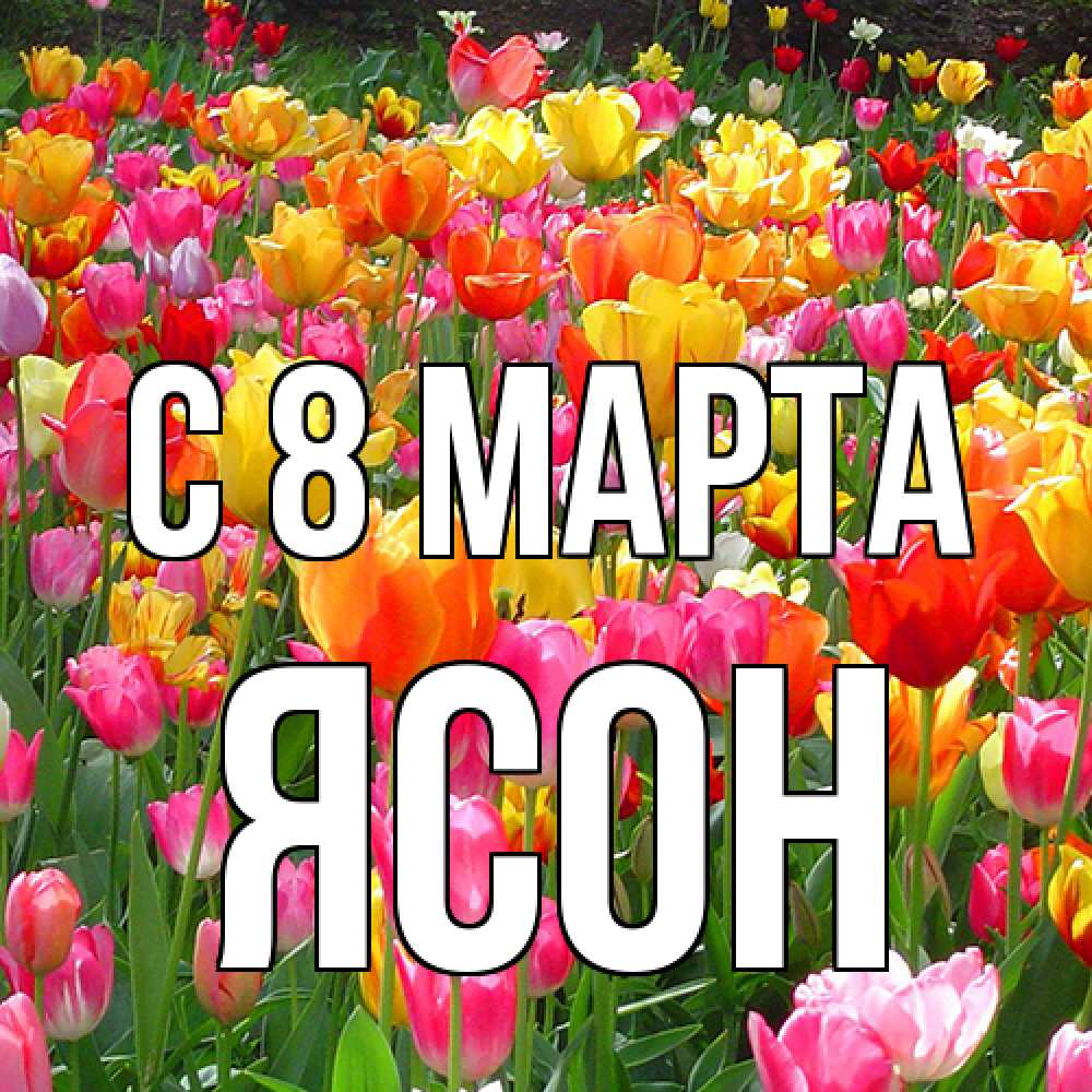 Открытка на каждый день с именем, Ясон C 8 МАРТА на международный женский день Прикольная открытка с пожеланием онлайн скачать бесплатно 
