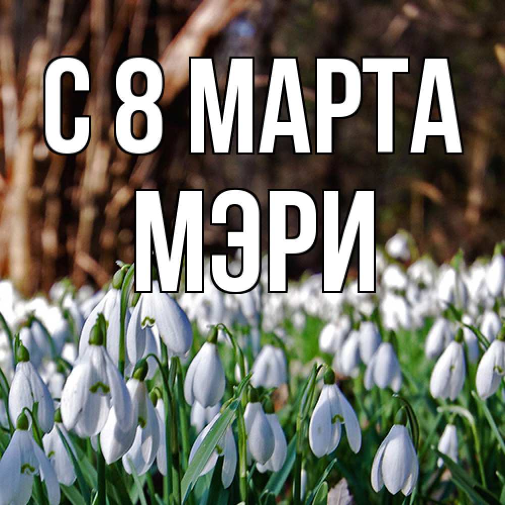 Открытка на каждый день с именем, Мэри C 8 МАРТА с подснежниками 1 Прикольная открытка с пожеланием онлайн скачать бесплатно 