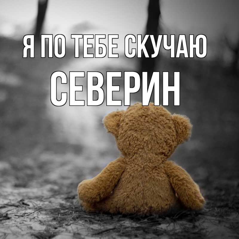Картинка Я по тебе скучаю, Северин