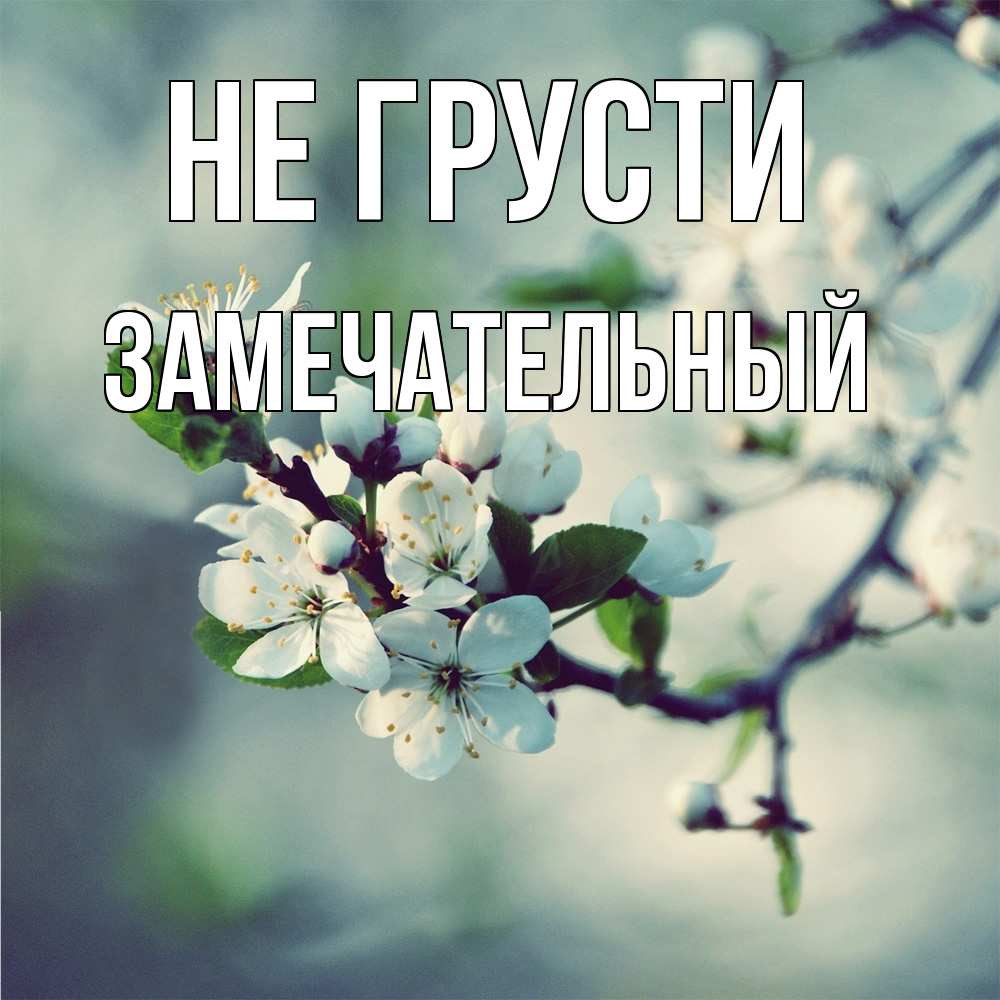 Открытка на каждый день с именем, Замечательный Не грусти яблоня в цвету 1 Прикольная открытка с пожеланием онлайн скачать бесплатно 