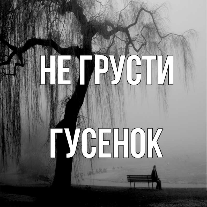 Открытка с именем, гусенок, Не грусти