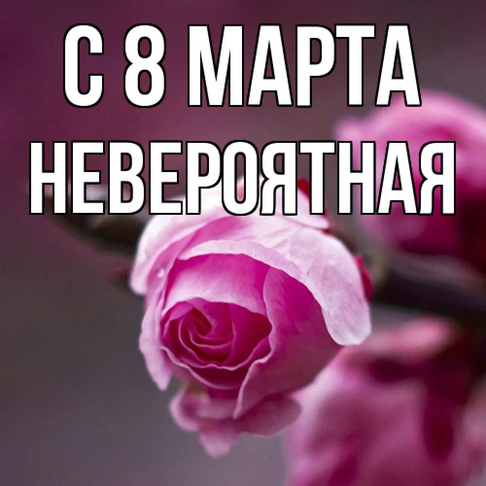 Открытка на каждый день с именем, невероятная C 8 МАРТА весна Прикольная открытка с пожеланием онлайн скачать бесплатно 