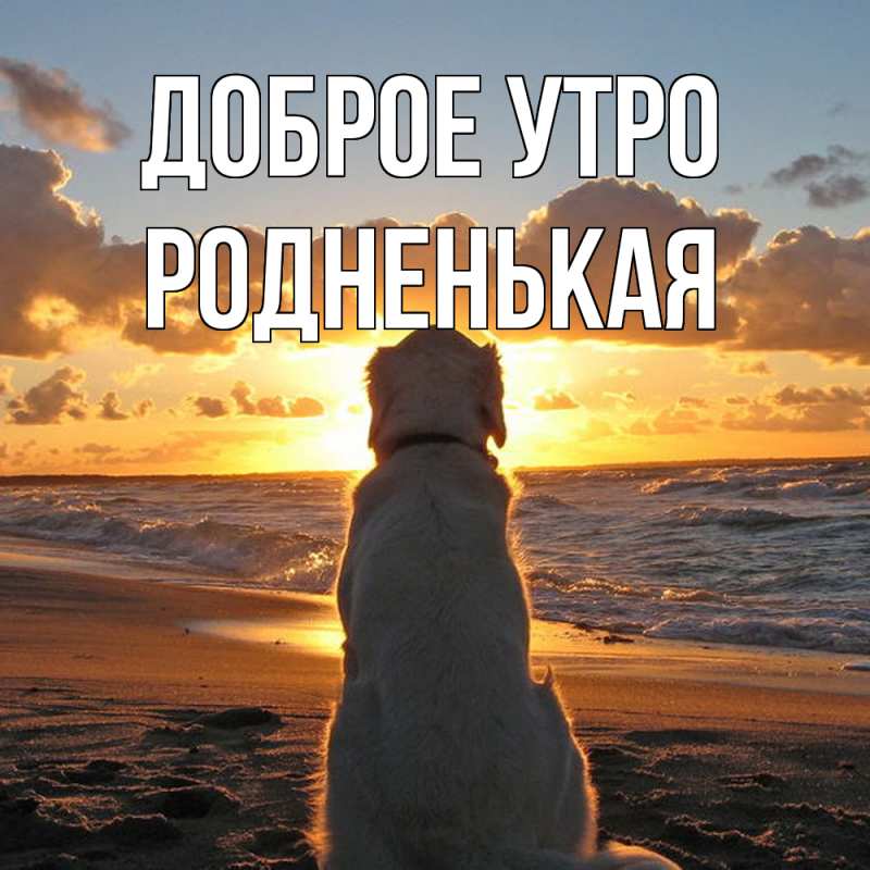 Картинка Доброе утро, Родненькая