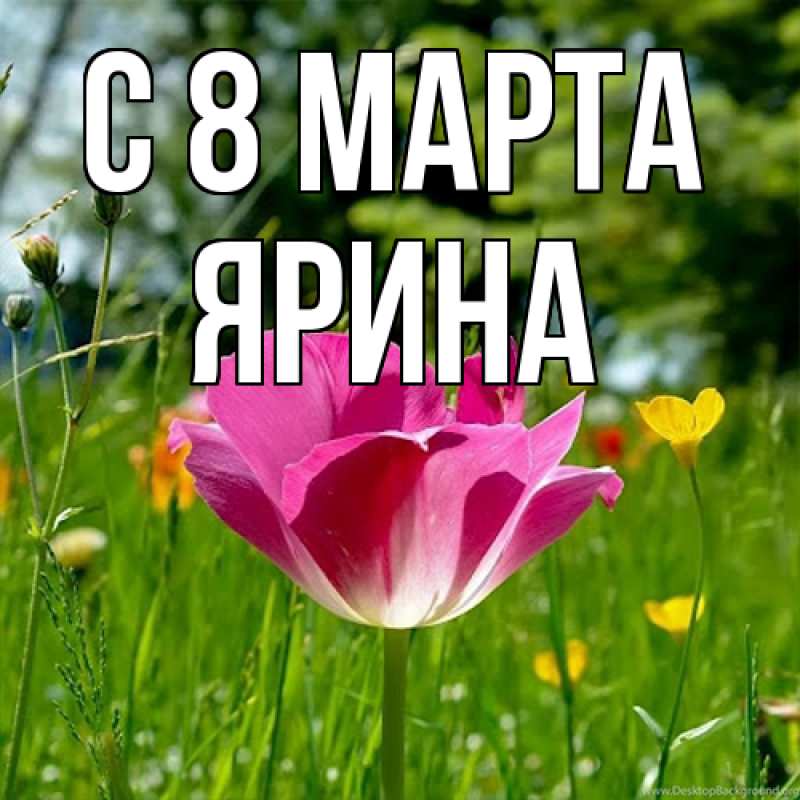 Картинка C 8 МАРТА, Ярина