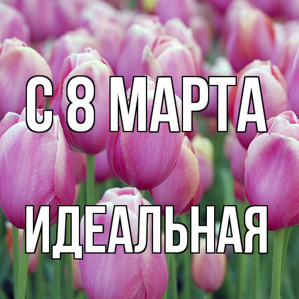 Открытка на каждый день с именем, идеальная C 8 МАРТА на международный женский день 3 Прикольная открытка с пожеланием онлайн скачать бесплатно 