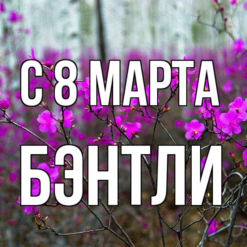 Открытка на каждый день с именем, Бэнтли C 8 МАРТА дикие цветы Прикольная открытка с пожеланием онлайн скачать бесплатно 