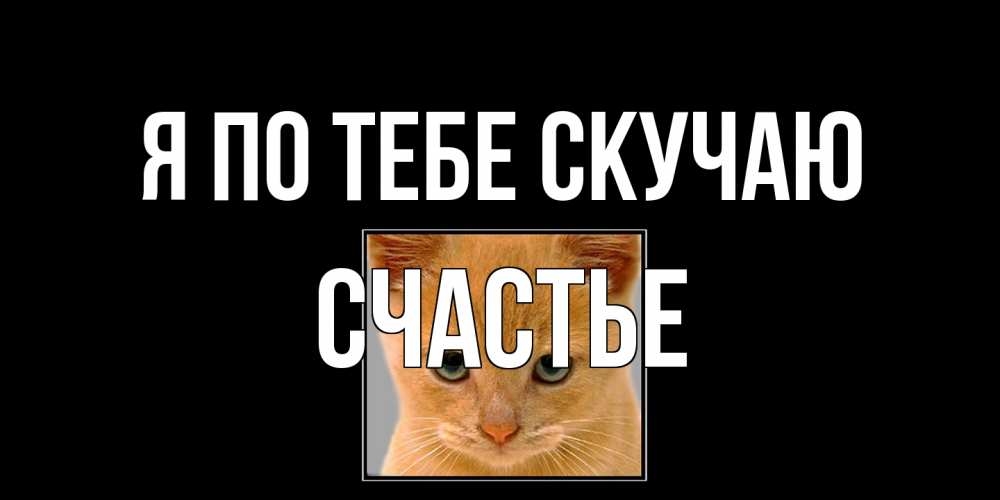 Открытка на каждый день с именем, счастье Я по тебе скучаю открытки рыжий котенок скучает по тебе Прикольная открытка с пожеланием онлайн скачать бесплатно 