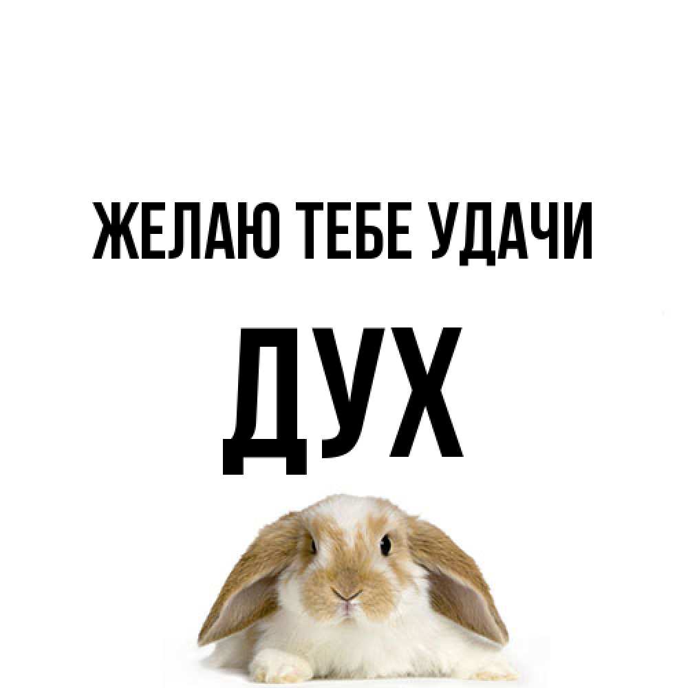 Открытка на каждый день с именем, Дух Желаю тебе удачи открытки с произвольным текстом который можно вставить в открытку и создать ее самостоятельно бесплатно онлайн Прикольная открытка с пожеланием онлайн скачать бесплатно 