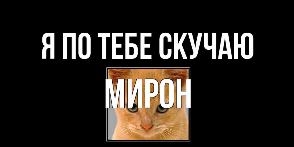 Открытка на каждый день с именем, Мирон Я по тебе скучаю открытки рыжий котенок скучает по тебе Прикольная открытка с пожеланием онлайн скачать бесплатно 