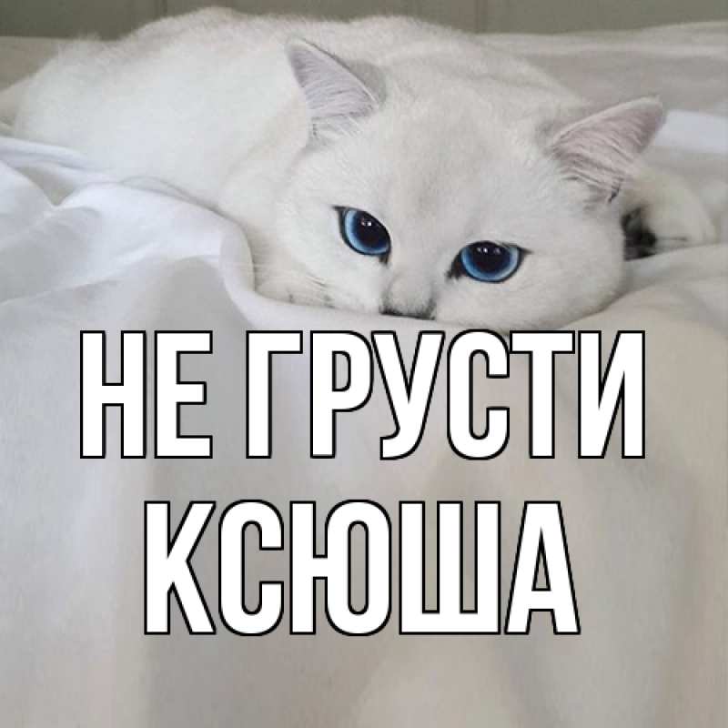 Картинка Не грусти, Ксюша