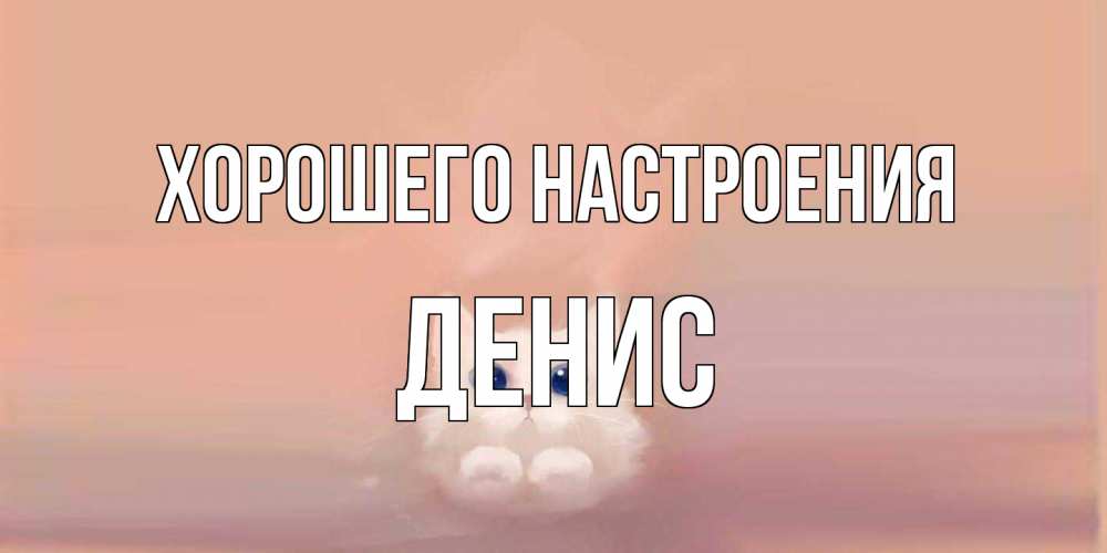 Открытка на каждый день с именем, Денис Хорошего настроения кошка Прикольная открытка с пожеланием онлайн скачать бесплатно 